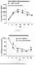 Fig. 17 - METHODS OF USING miR-3075-5P TO IMPROVE INSULIN SENSITIVITY AND COMPOSITIONS THEREFOR