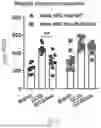 Fig. 19 - METHODS OF USING miR-3075-5P TO IMPROVE INSULIN SENSITIVITY AND COMPOSITIONS THEREFOR