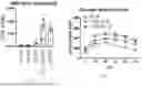 Fig. 24 - METHODS OF USING miR-3075-5P TO IMPROVE INSULIN SENSITIVITY AND COMPOSITIONS THEREFOR