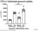 Fig. 26 - METHODS OF USING miR-3075-5P TO IMPROVE INSULIN SENSITIVITY AND COMPOSITIONS THEREFOR