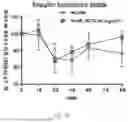 Fig. 29 - METHODS OF USING miR-3075-5P TO IMPROVE INSULIN SENSITIVITY AND COMPOSITIONS THEREFOR