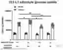 Fig. 35 - METHODS OF USING miR-3075-5P TO IMPROVE INSULIN SENSITIVITY AND COMPOSITIONS THEREFOR