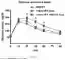 Fig. 48 - METHODS OF USING miR-3075-5P TO IMPROVE INSULIN SENSITIVITY AND COMPOSITIONS THEREFOR