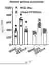 Fig. 53 - METHODS OF USING miR-3075-5P TO IMPROVE INSULIN SENSITIVITY AND COMPOSITIONS THEREFOR
