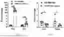 Fig. 55 - METHODS OF USING miR-3075-5P TO IMPROVE INSULIN SENSITIVITY AND COMPOSITIONS THEREFOR