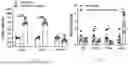 Fig. 56 - METHODS OF USING miR-3075-5P TO IMPROVE INSULIN SENSITIVITY AND COMPOSITIONS THEREFOR