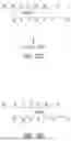 Fig. 44 - METHODS FOR SIMULTANEOUS AMPLIFICATION OF TARGET LOCI