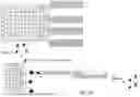 Fig. 04 - MASSIVELY PARALLEL SINGLE CELL ANALYSIS