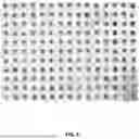 Fig. 07 - MASSIVELY PARALLEL SINGLE CELL ANALYSIS