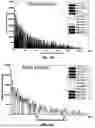 Fig. 32 - MASSIVELY PARALLEL SINGLE CELL ANALYSIS