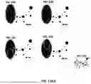 Fig. 40 - MASSIVELY PARALLEL SINGLE CELL ANALYSIS