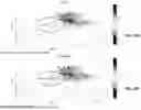 Fig. 58 - MASSIVELY PARALLEL SINGLE CELL ANALYSIS
