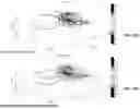 Fig. 59 - MASSIVELY PARALLEL SINGLE CELL ANALYSIS