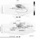 Fig. 70 - MASSIVELY PARALLEL SINGLE CELL ANALYSIS