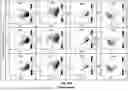 Fig. 83 - MASSIVELY PARALLEL SINGLE CELL ANALYSIS