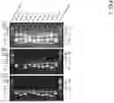 Fig. 04 - LACTIC ACID BACTERIUM DETECTION PRIMER SET, AND DETECTION METHOD USING SAID PRIMER SET