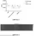 Fig. 09 - HIGH-THROUGHPUT SCREENING OF SARS-COV-2 VARIANTS