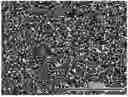 Fig. 01 - CEMENTED CARBIDE