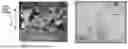 Fig. 02 - PLATED STEEL SHEET