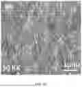 Fig. 06 - Method for splitting water