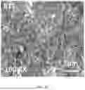 Fig. 07 - Method for splitting water