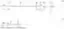Fig. 03 - COMPOSITIONS AND METHODS FOR THE ELETRODEPOSITION OF NANOTWINNED COPPER