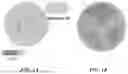 Fig. 02 - VISUAL CONTINUOUS SPATIAL DIRECTED EVOLUTION METHOD