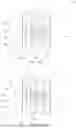 Fig. 69 - Fluid end