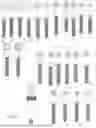 Fig. 10 - CLAMPING DEVICES, SYSTEMS AND METHODS