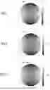 Fig. 05 - INTERFEROMETER APPARATUS