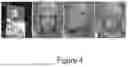 Fig. 07 - Photorealistic Talking Faces from Audio