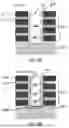 Fig. 09 - NANOSTRUCTURE TRANSISTORS WITH SOURCE/DRAIN TRENCH CONTACT LINERS
