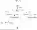 Fig. 07 - AFFINE MODEL-BASED IMAGE ENCODING/DECODING METHOD AND DEVICE