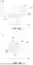 Fig. 07 - Pixel Filtering for Content