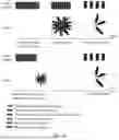 Fig. 09 - COMMUNICATION METHOD AND APPARATUS