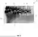 Fig. 09 - METHOD FOR PROVIDING ANNOTATED SYNTHETIC IMAGE DATA FOR TRAINING MACHINE LEARNING MODELS