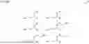 Fig. 12 - COMPOUNDS, COMPOSITIONS AND METHODS OF USE FOR NICOTINE CESSATION AND CHEMOPREVENTION