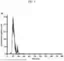 Fig. 02 - NOVEL COMPOSITION COMPRISING NEPETA CATARIA-DERIVED EXOSOMES AS ACTIVE INGREDIENT