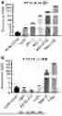 Fig. 10 - COMPOSITIONS AND METHODS TO SUPPRESS TUMOR GROWTH IN BONE, PREVENT CACHECTIC MUSCLE LOSS, AND PRESERVE SKELETAL INTEGRITY