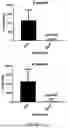 Fig. 12 - COMPOSITIONS AND METHODS TO SUPPRESS TUMOR GROWTH IN BONE, PREVENT CACHECTIC MUSCLE LOSS, AND PRESERVE SKELETAL INTEGRITY