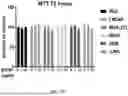 Fig. 22 - COMPOSITIONS AND METHODS TO SUPPRESS TUMOR GROWTH IN BONE, PREVENT CACHECTIC MUSCLE LOSS, AND PRESERVE SKELETAL INTEGRITY