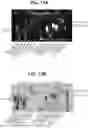 Fig. 33 - ESCHERICHIA COLI COMPOSITIONS AND METHODS THEREOF