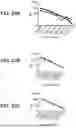 Fig. 41 - ESCHERICHIA COLI COMPOSITIONS AND METHODS THEREOF