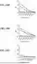 Fig. 43 - ESCHERICHIA COLI COMPOSITIONS AND METHODS THEREOF