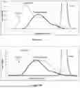 Fig. 09 - PURIFIED CAPSULAR POLYSACCHARIDES OF STREPTOCOCCUS PNEUMONIAE
