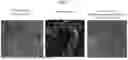 Fig. 08 - CORONAVIRUS AND INFLUENZA COMPOSITIONS AND METHODS FOR USING THEM
