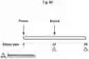 Fig. 09 - CORONAVIRUS AND INFLUENZA COMPOSITIONS AND METHODS FOR USING THEM