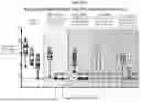 Fig. 44 - CORONAVIRUS AND INFLUENZA COMPOSITIONS AND METHODS FOR USING THEM
