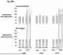 Fig. 63 - CORONAVIRUS AND INFLUENZA COMPOSITIONS AND METHODS FOR USING THEM