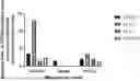 Fig. 01 - COMPOSITIONS, SYSTEMS, AND METHODS FOR TREATING CANCER USING TUMOR TREATING FIELDS AND CHIMERIC ANTIGEN RECEPTOR (CAR)-IMMUNE CELLS